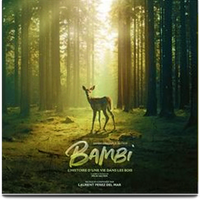 Bambi, l’histoire d’une vie dans les bois