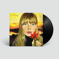 Cover d'un vinyle en édition limitée, un vinyle coloré ou une exclusivité FNAC.