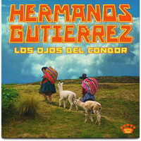 Los Ojos Del Cóndor