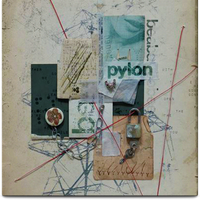 Pylon