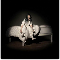 WHEN WE ALL FALL ASLEEP, WHERE DO WE GO ?