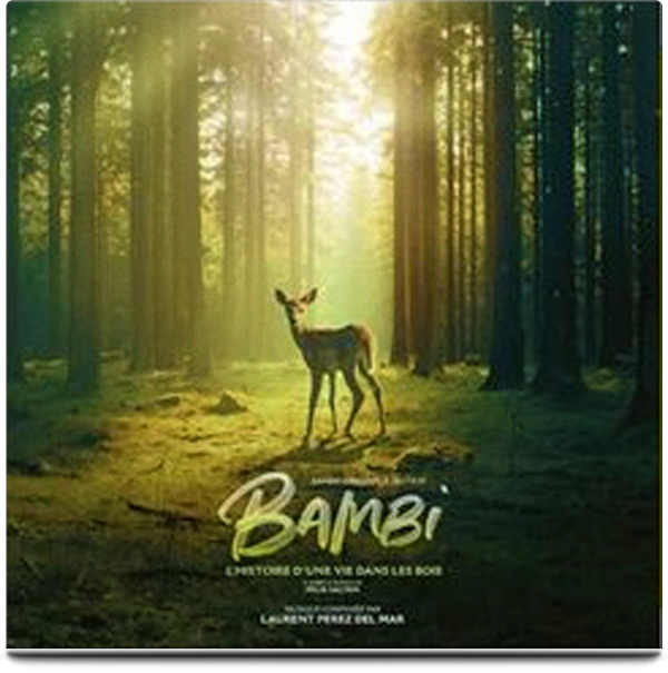 Bambi, l’histoire d’une vie dans les bois