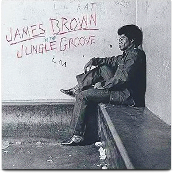 In The Jungle Groove