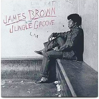 In The Jungle Groove