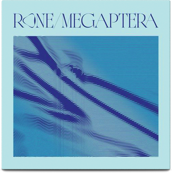 Megaptera