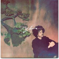 Tyber