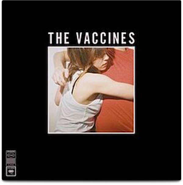 What Did You Expect From The Vaccines ?