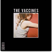 What Did You Expect From The Vaccines ?